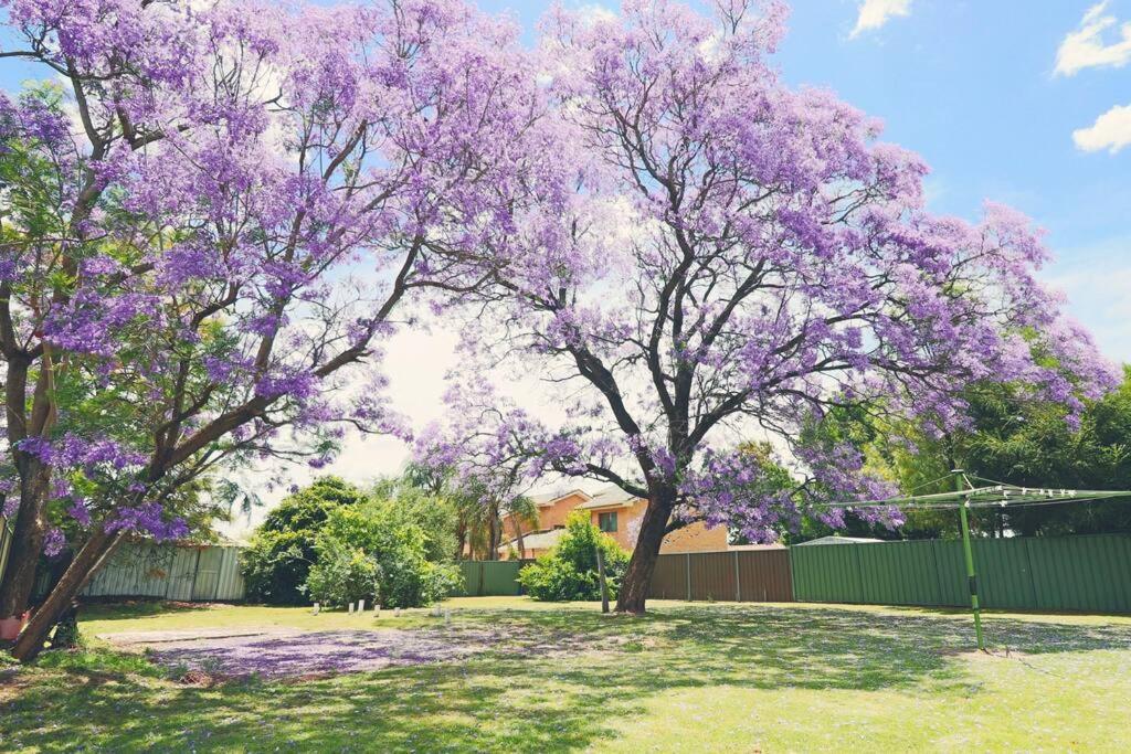 Jacaranda Cottage Anafi Exterior foto